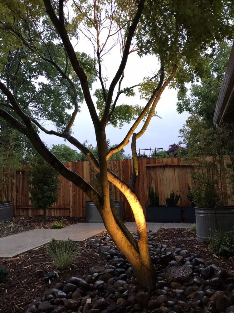 Top-rated lawn mowing service in Roseville, CA - Burch Landscaping