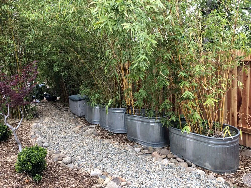 Custom lawn mowing service in Roseville, CA - Burch Landscaping