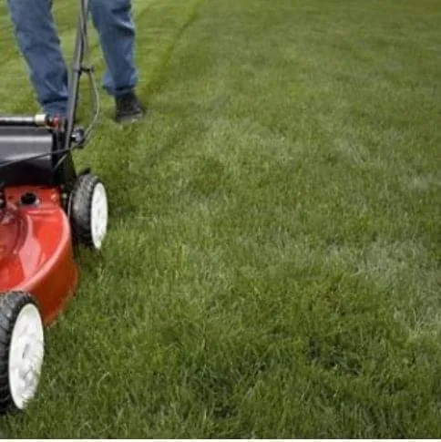 Affordable landscape installation for homes in Jonesboro, AR by Burcham Lawn Care