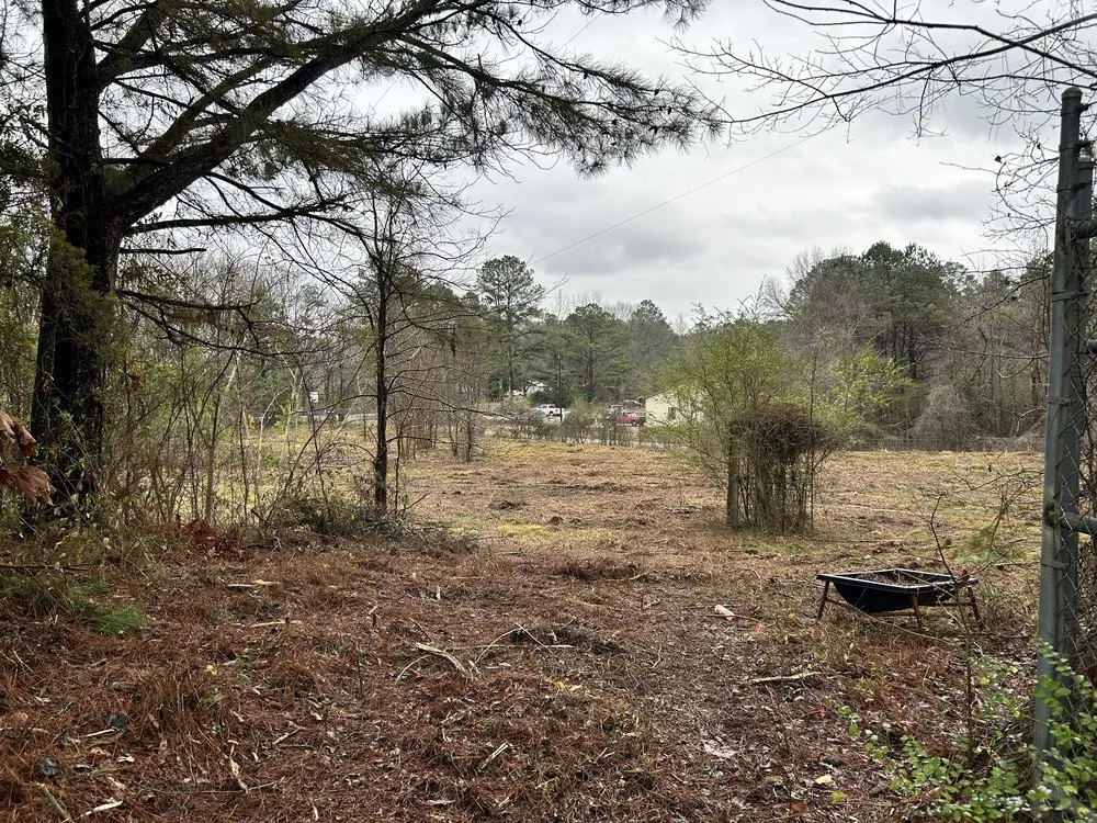 Custom residential landscaping for homes across Rienzi, MS - Burchell Outdoor Services