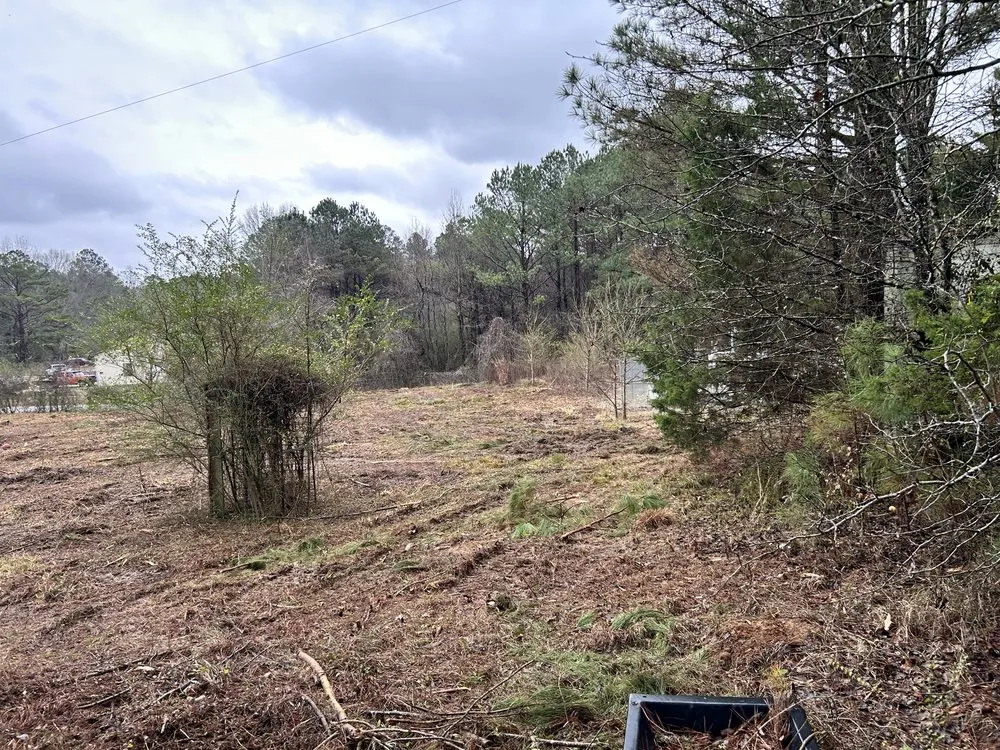Professional residential landscaping for residential properties in Rienzi, MS by Burchell Outdoor Services