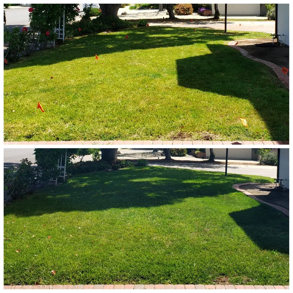 Expert lawn mowing service in San Jose, CA by Burchinal Lawn Aerating