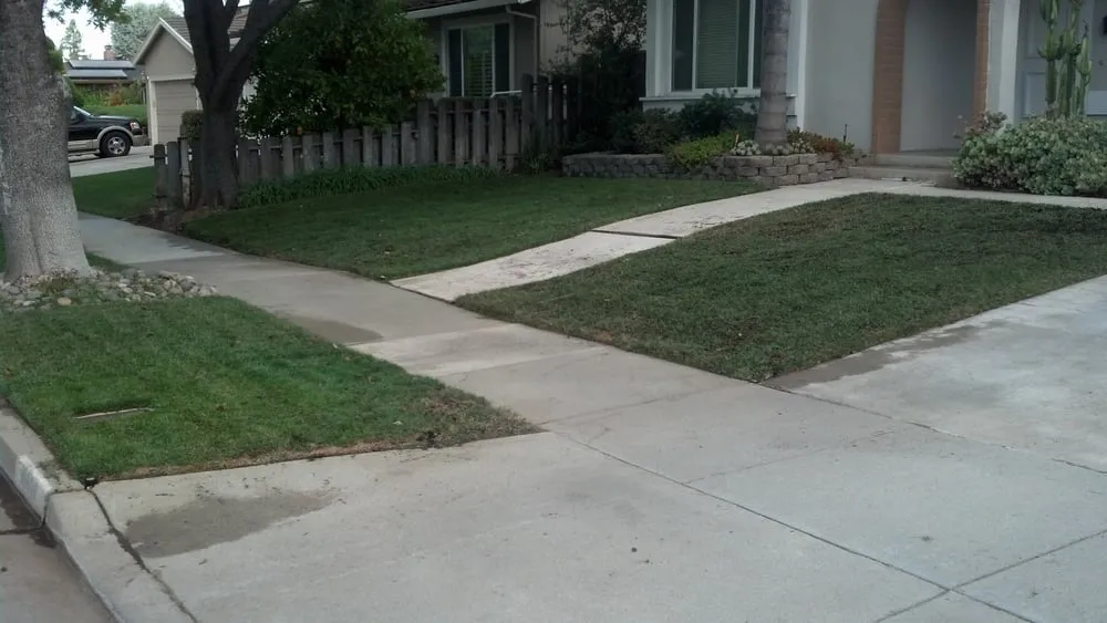 Top-rated landscaping services near you across San Jose, CA - Burchinal Lawn Aerating