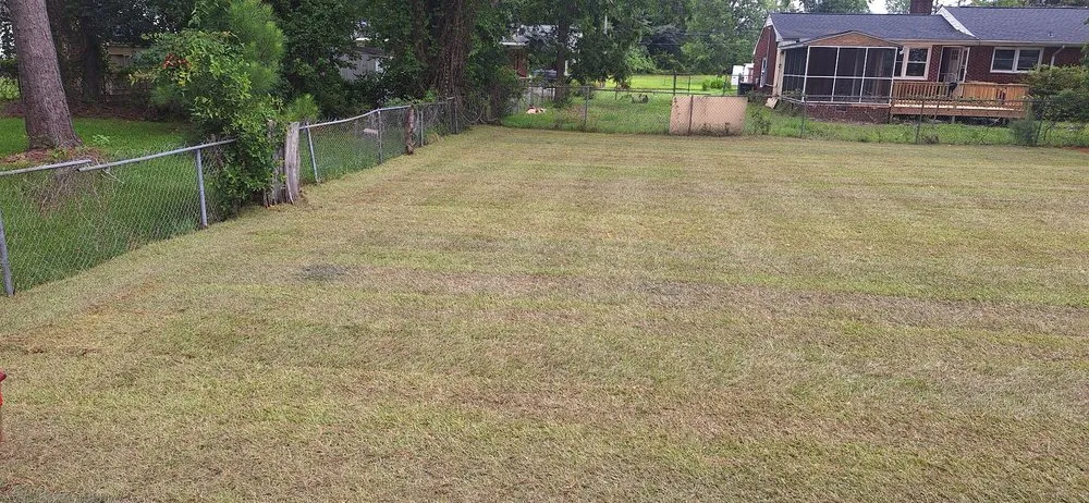 Local landscape design for year-round maintenance across Hubert, NC - Burch's Landscaping