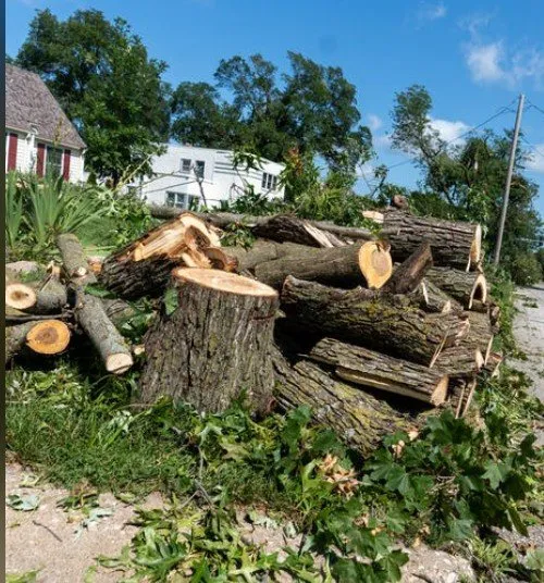 Expert outdoor landscaping experts serving Abilene, TX - Burch's Lawn And Beyond