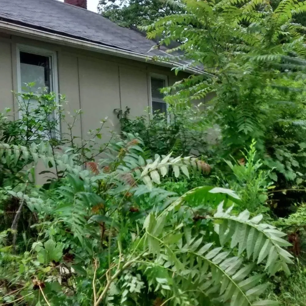 Trusted landscape design for year-round maintenance in Independence, MO by Burchs Lawn and Property Services