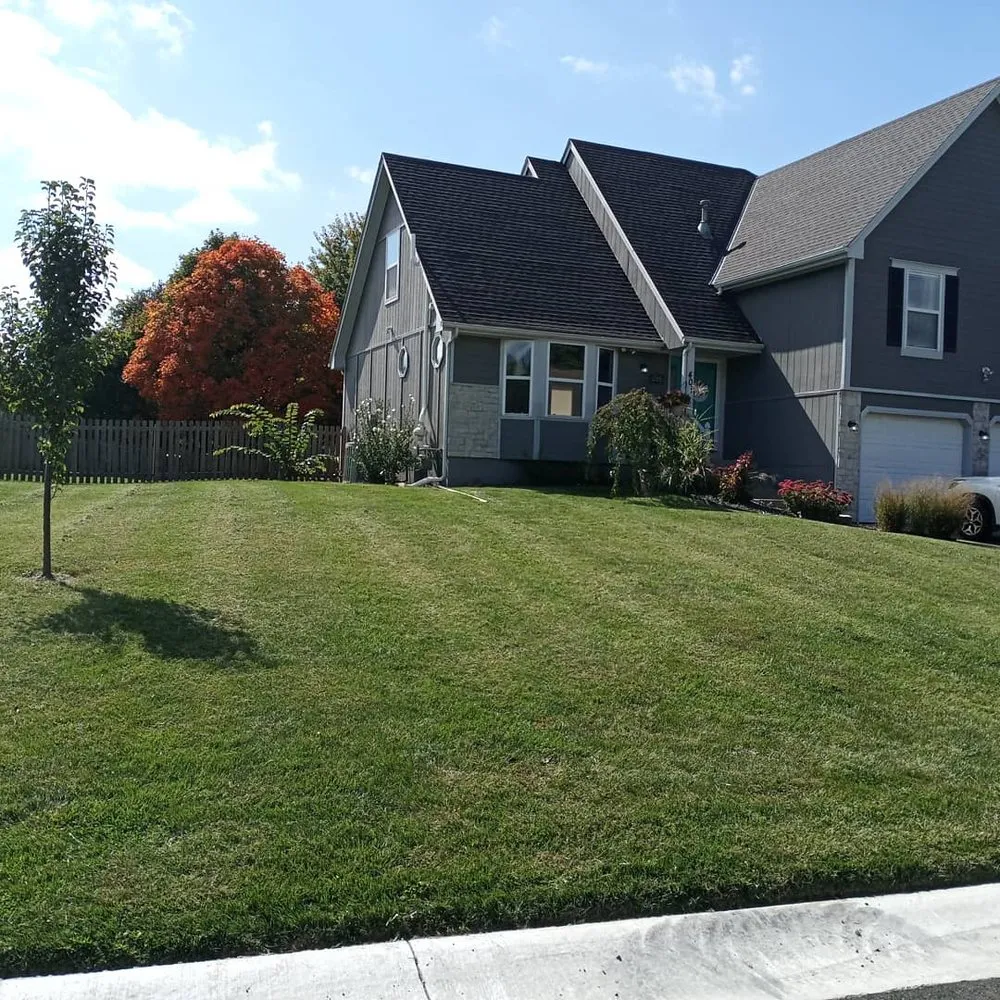 Reliable lawn care service near you across Independence, MO - Burchs Lawn and Property Services