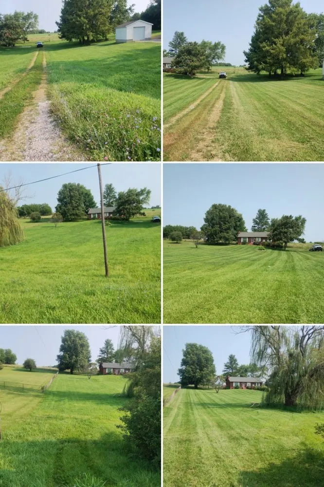 Trusted landscaping services near you in Independence, MO by Burchs Lawn and Property Services