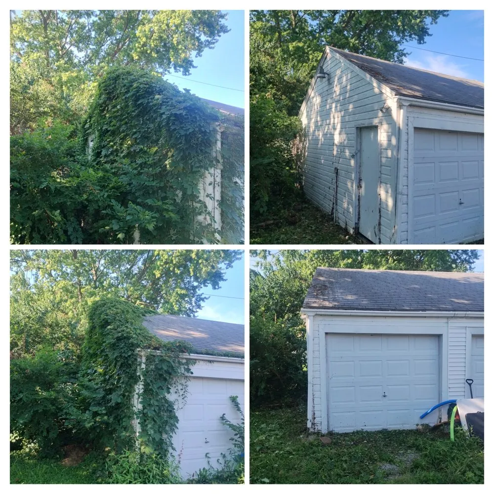 Top-rated yard maintenance in Independence, MO - Burchs Lawn and Property Services