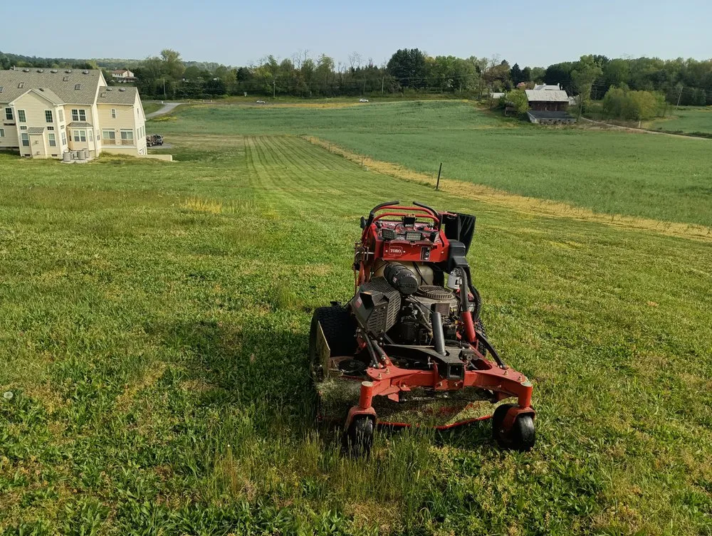 Affordable yard cleanup service in Frederick, MD - Burdette landscaping