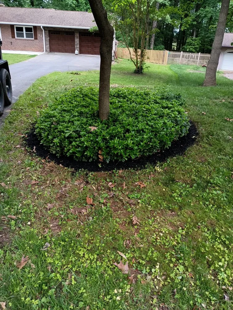 Local outdoor landscaping in Frederick, MD by Burdette landscaping