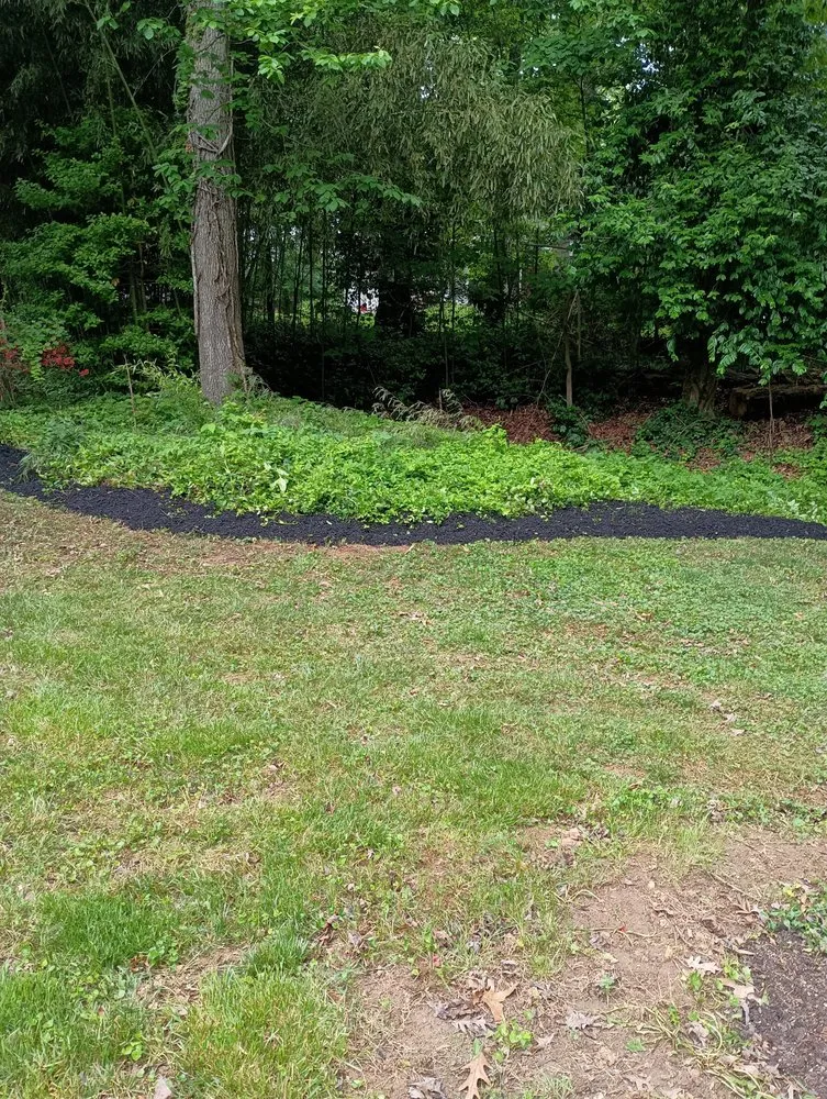 Top-rated landscaping services in Frederick, MD by Burdette landscaping