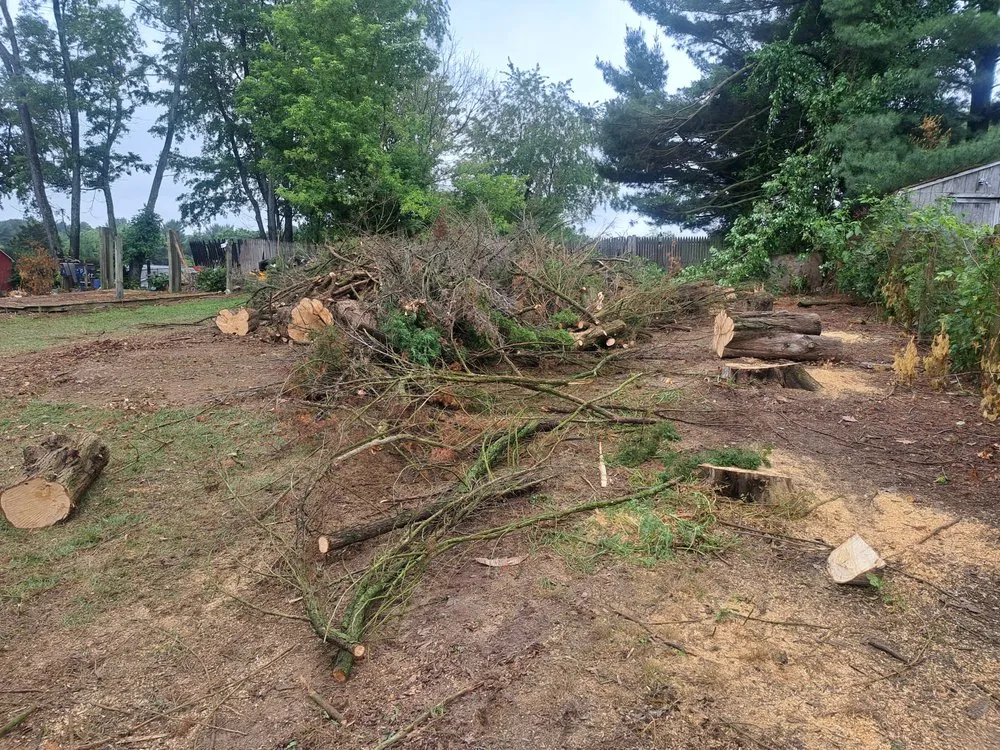 Local lawn care service in Frederick, MD - Burdette landscaping