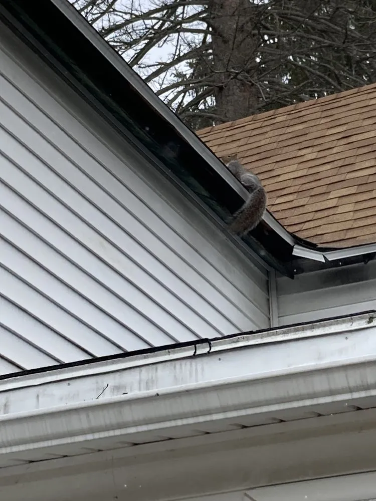 Professional landscape installation in Waverly, NY by Burdick and Sons Construction