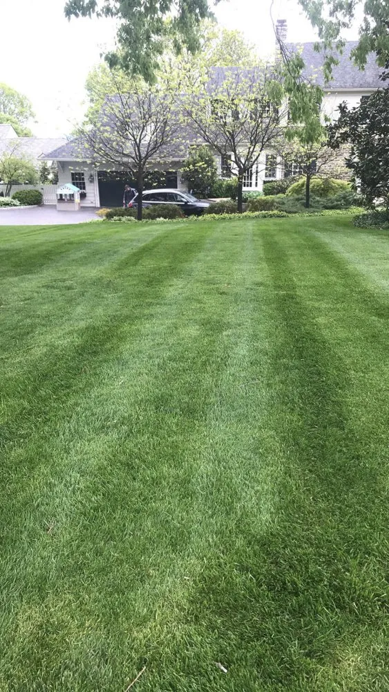 Expert yard cleanup service experts serving New Richmond, OH - Burdine’s lawn services