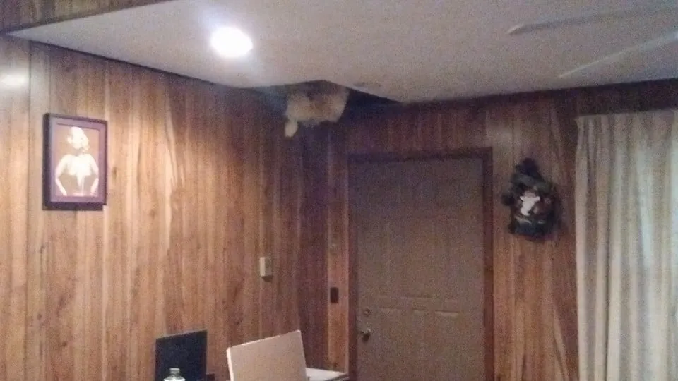 Reliable landscape design with custom design in Fremont, OH by Burels Affordable Lawn Care and Contracting