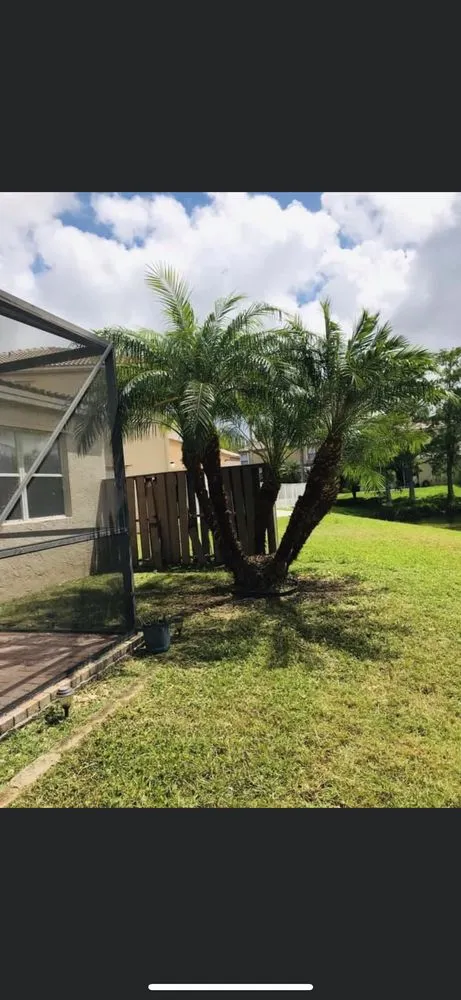 Reliable residential landscaping experts serving Fort Lauderdale, FL - Burge Property Maintenance