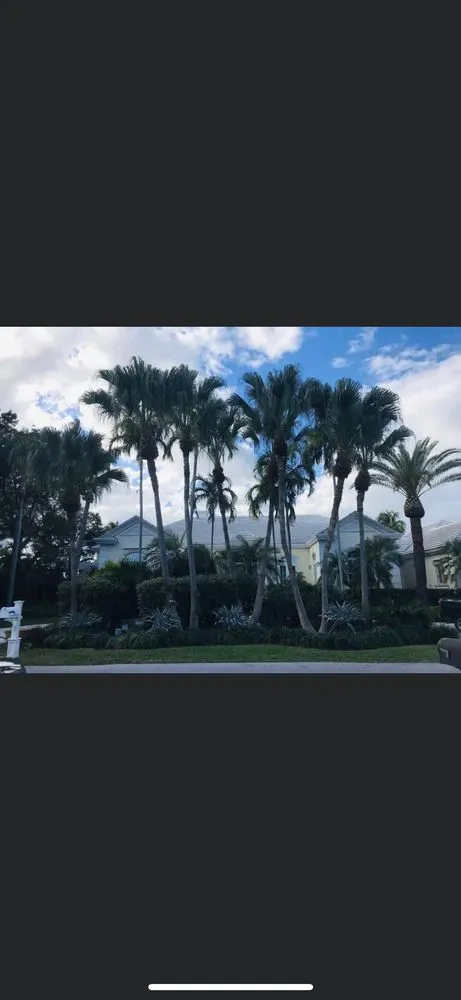 Custom yard maintenance in Fort Lauderdale, FL by Burge Property Maintenance