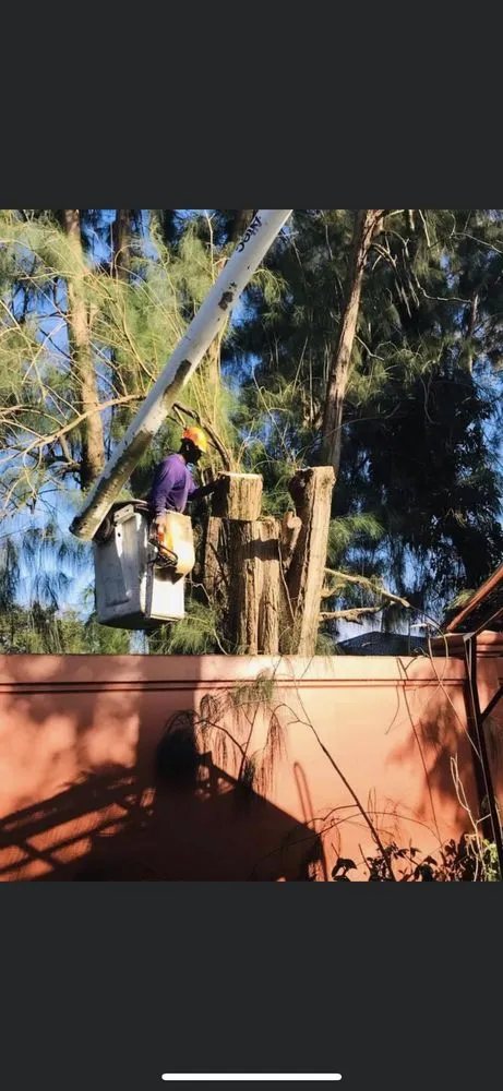 Expert yard maintenance for year-round maintenance in Fort Lauderdale, FL by Burge Property Maintenance