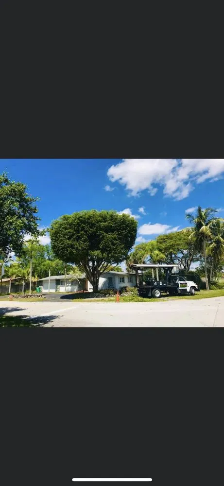 Custom landscaping services in Fort Lauderdale, FL - Burge Property Maintenance