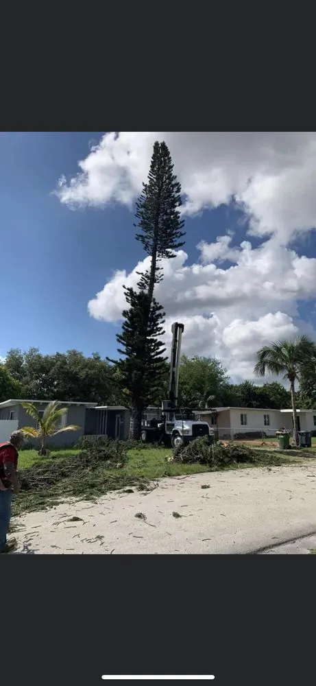 Expert landscaping services for residential properties in Fort Lauderdale, FL by Burge Property Maintenance