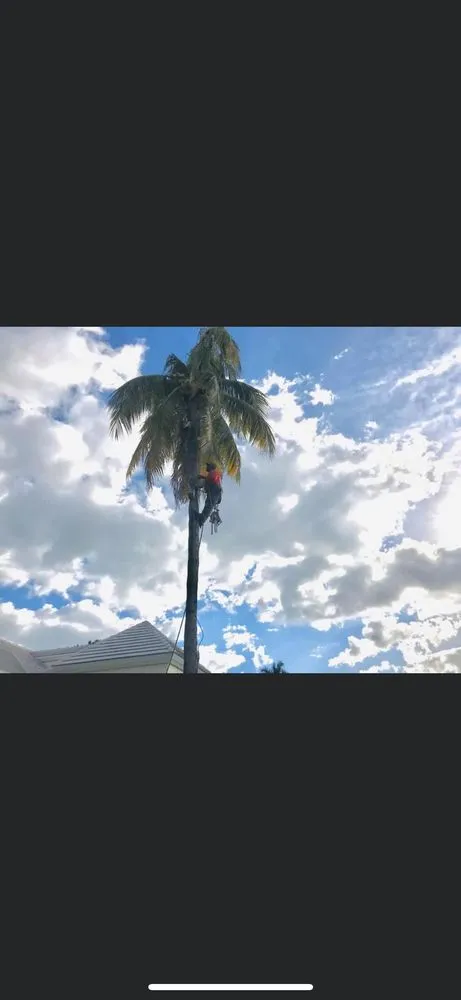 Expert lawn mowing service for beautiful yards in Fort Lauderdale, FL by Burge Property Maintenance