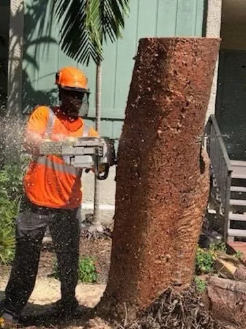 Reliable yard maintenance experts serving Fort Lauderdale, FL - Burge Property Maintenance