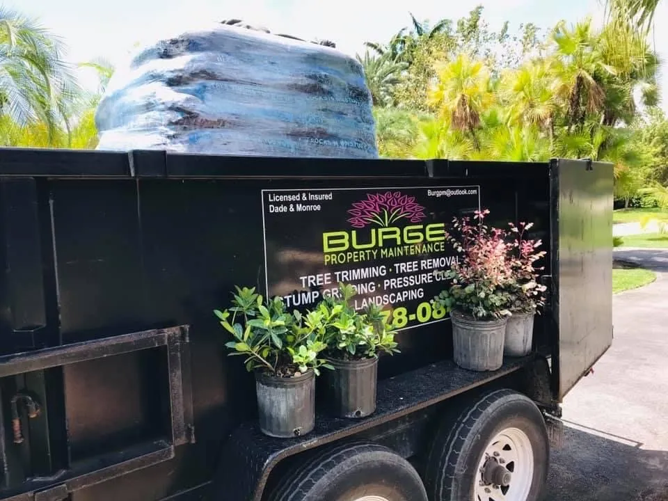 Affordable residential landscaping in Fort Lauderdale, FL by Burge Property Maintenance