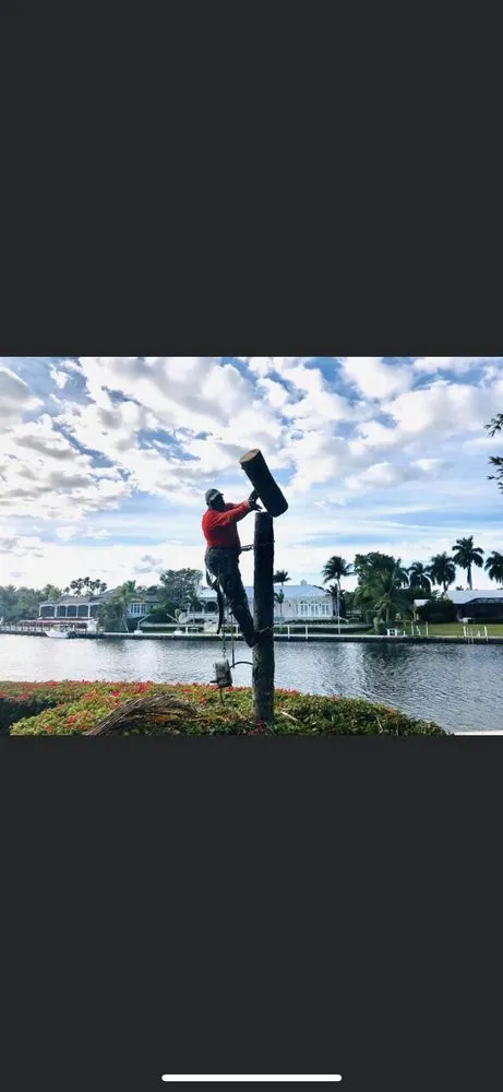 Affordable outdoor landscaping for homes across Fort Lauderdale, FL - Burge Property Maintenance