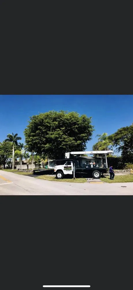 Trusted garden landscaping for year-round maintenance in Fort Lauderdale, FL by Burge Property Maintenance