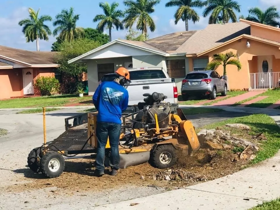 Top-rated yard cleanup service for homes in Fort Lauderdale, FL by Burge Property Maintenance