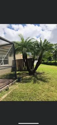 Burge Property Maintenance