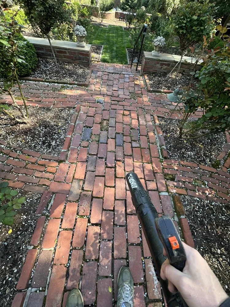 Professional residential landscaping experts serving Belle View, VA - Burgei Landscape