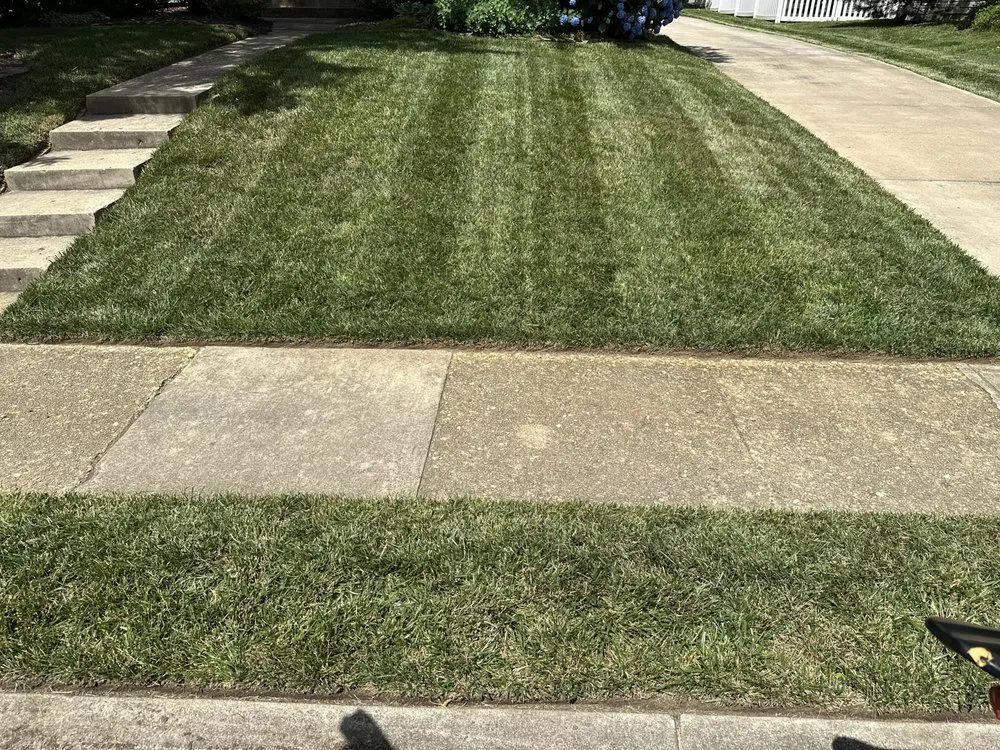 Professional yard cleanup service experts serving Belle View, VA - Burgei Landscape