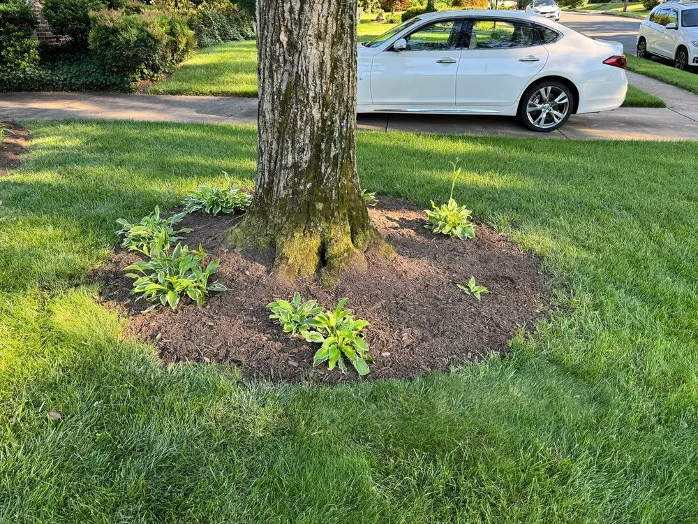 Expert garden landscaping experts serving Belle View, VA - Burgei Landscape