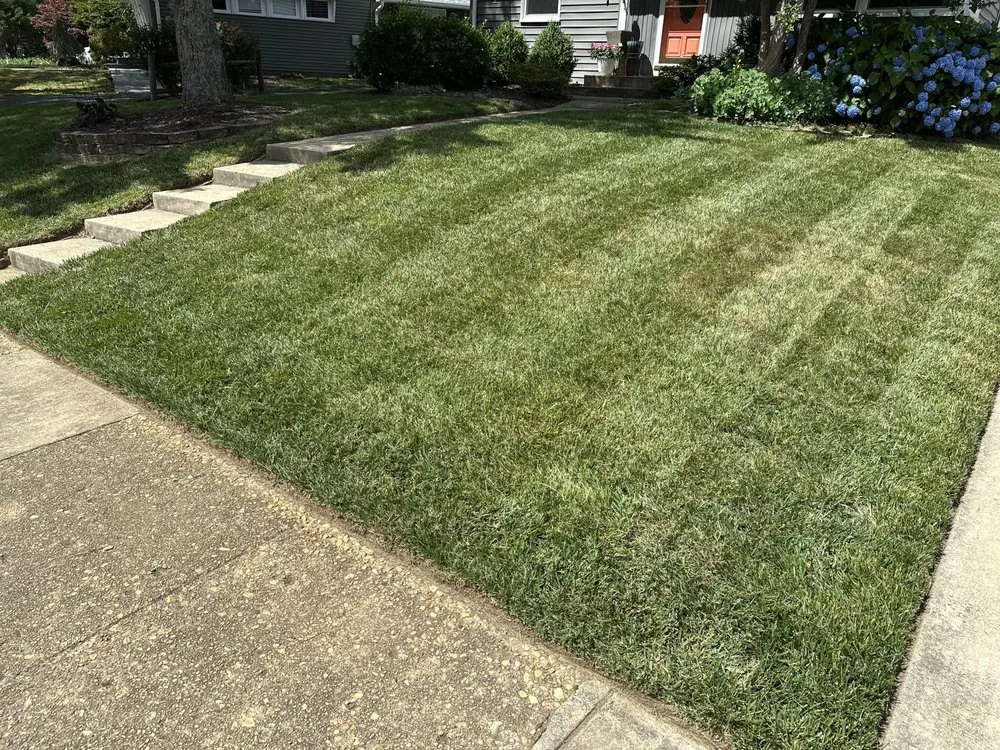 Affordable residential landscaping experts serving Belle View, VA - Burgei Landscape