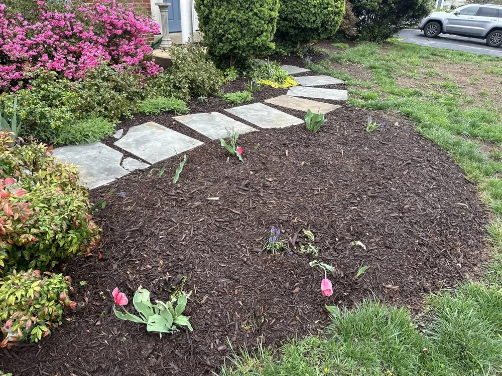 Top-rated lawn care service in Belle View, VA by Burgei Landscape