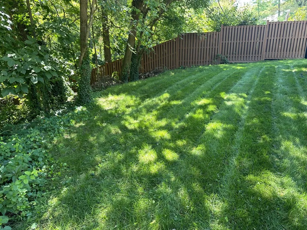Local lawn mowing service in Belle View, VA by Burgei Landscape
