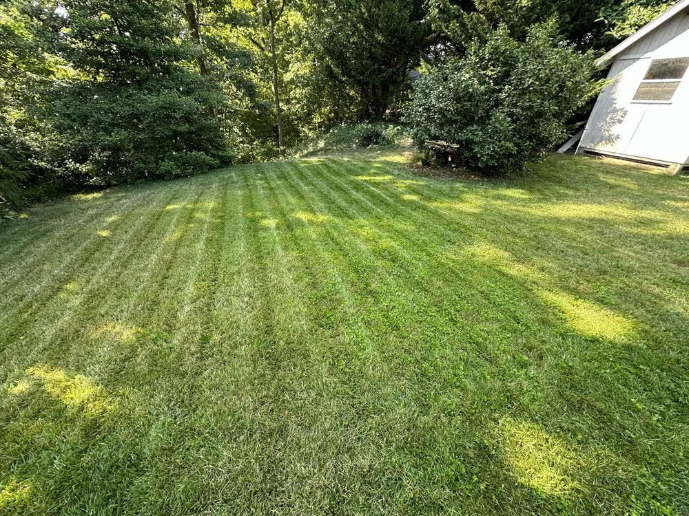 Professional lawn care service in Belle View, VA by Burgei Landscape