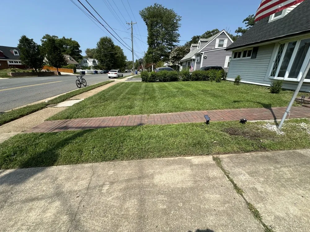 Professional yard cleanup service in Belle View, VA by Burgei Landscape
