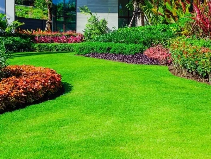 Trusted yard cleanup service experts serving St. Petersburg, FL - Burgeons Landscaping and Lawn Care