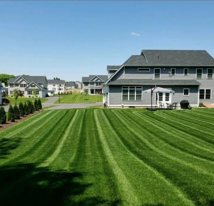 Local landscape installation for homes in St. Petersburg, FL by Burgeons Landscaping and Lawn Care