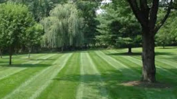 Custom yard cleanup service for residential properties across St. Petersburg, FL - Burgeons Landscaping and Lawn Care