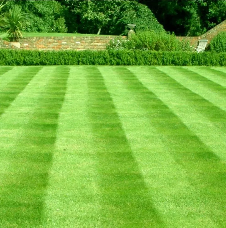 Trusted landscaping services in St. Petersburg, FL - Burgeons Landscaping and Lawn Care