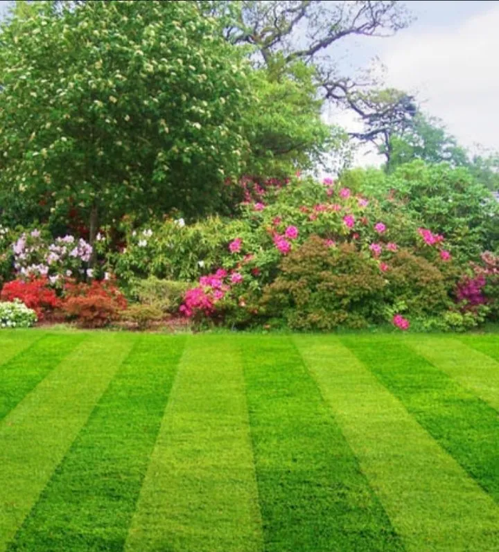 Top-rated landscape installation for residential properties across St. Petersburg, FL - Burgeons Landscaping and Lawn Care