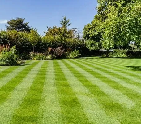 Burgeons Landscaping and Lawn Care