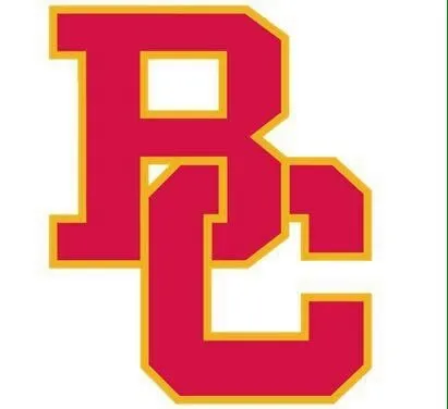 Custom yard maintenance for year-round maintenance across Colonia, NJ - Burgeson Contracting