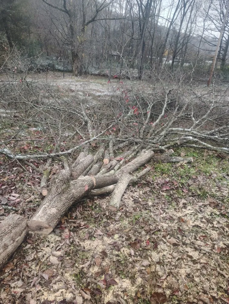 Affordable outdoor landscaping for year-round maintenance across Charleston, WV - Burgess Property Solutions