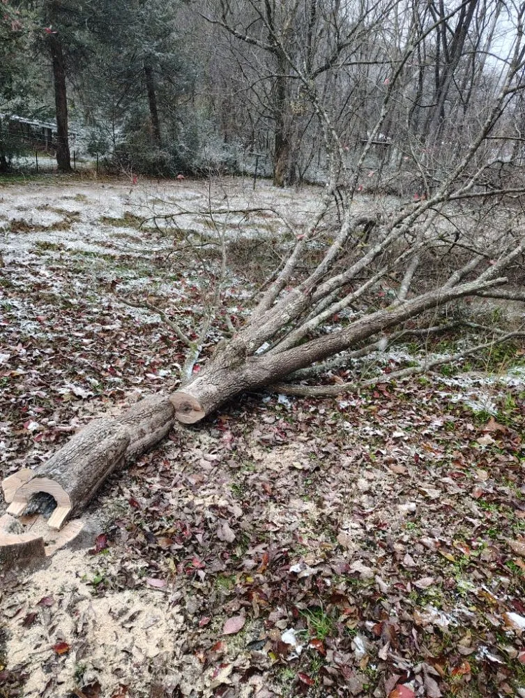 Reliable outdoor landscaping in Charleston, WV - Burgess Property Solutions