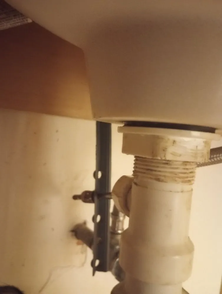 Professional garden landscaping experts serving Indianapolis, IN - Burgetts Trades